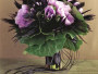 album_pic