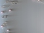 meno fotografie